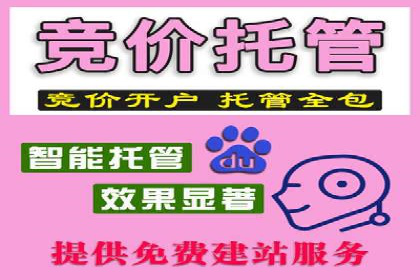 成功SEM推广代运营案例展示